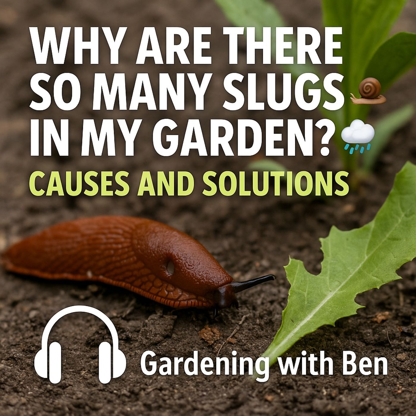 🎧 Why Are There So Many Slugs in My Garden? 🐌🌧️ Causes and Solutions 🌱✨ episode artwork
