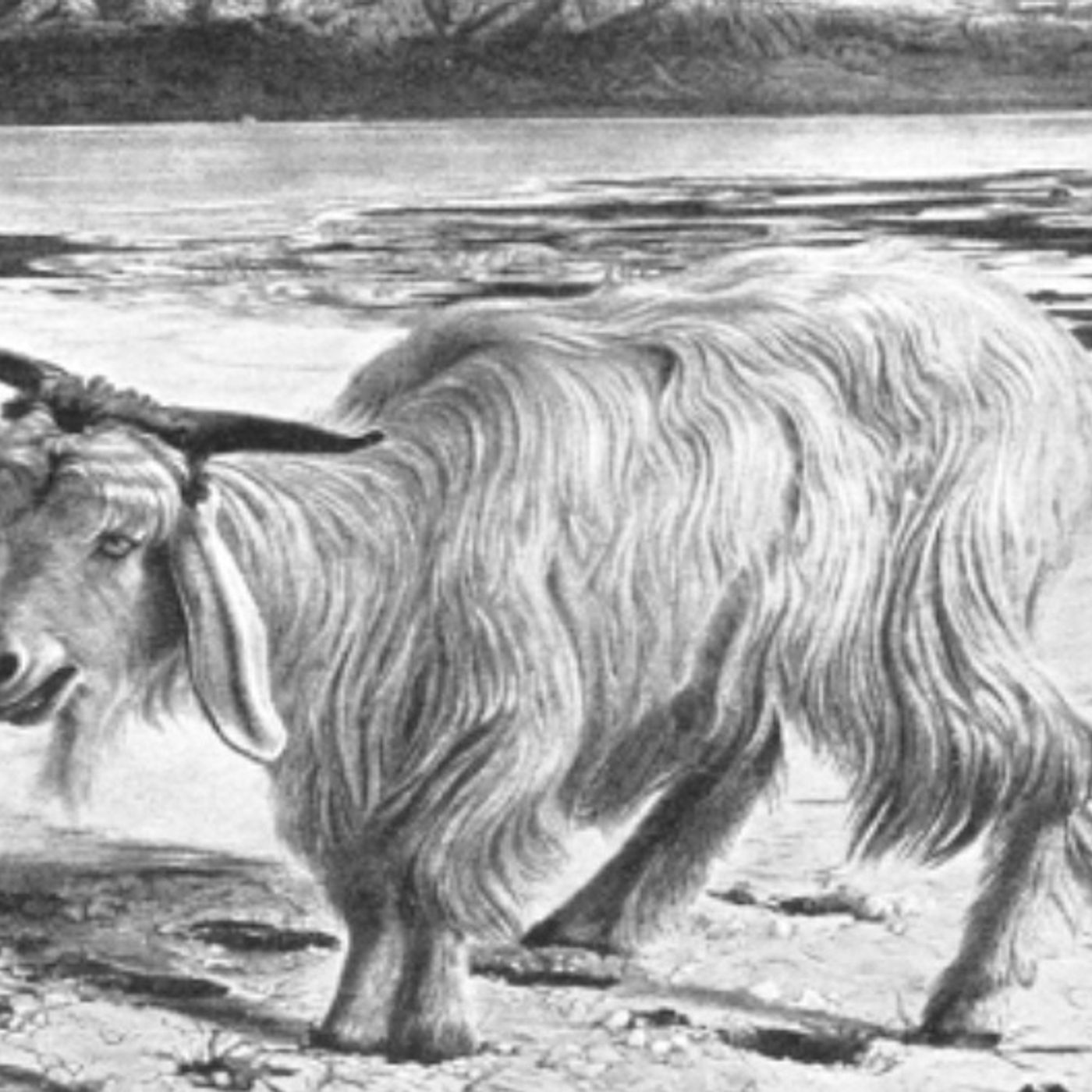 Leviticus chapter 16