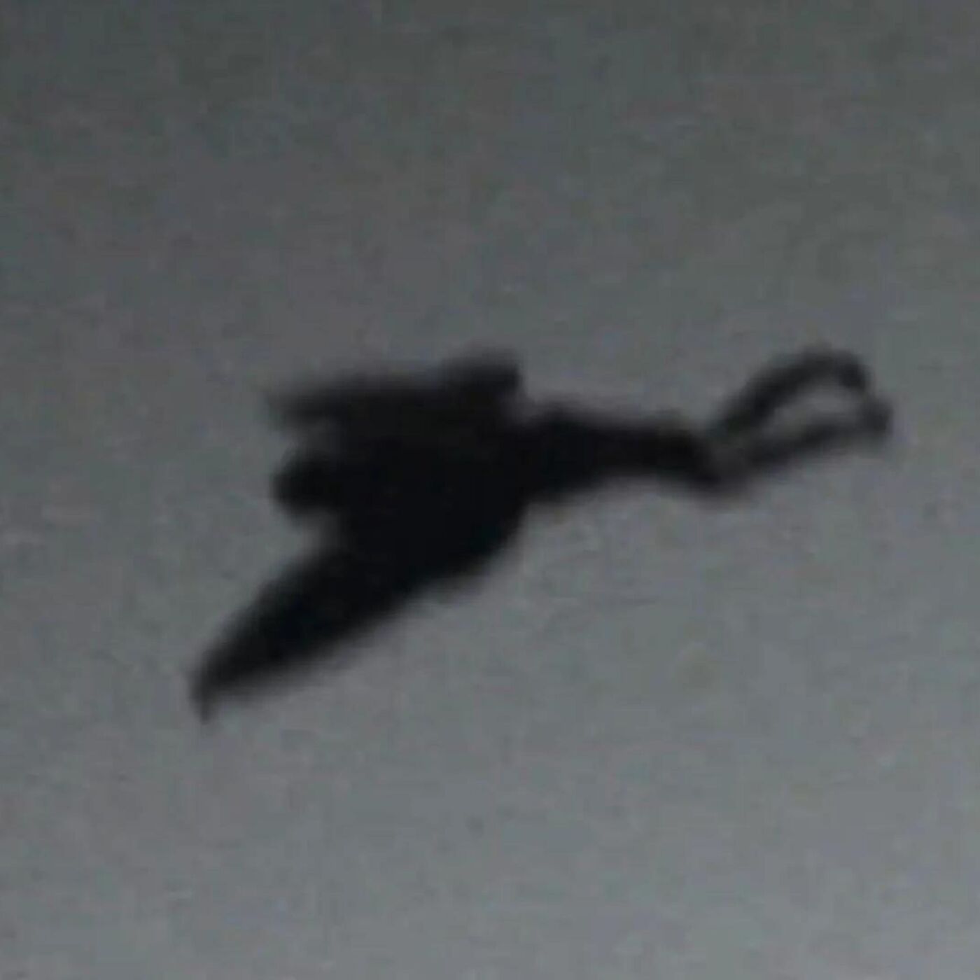S9: Chicago Mothman - Weekend Replay