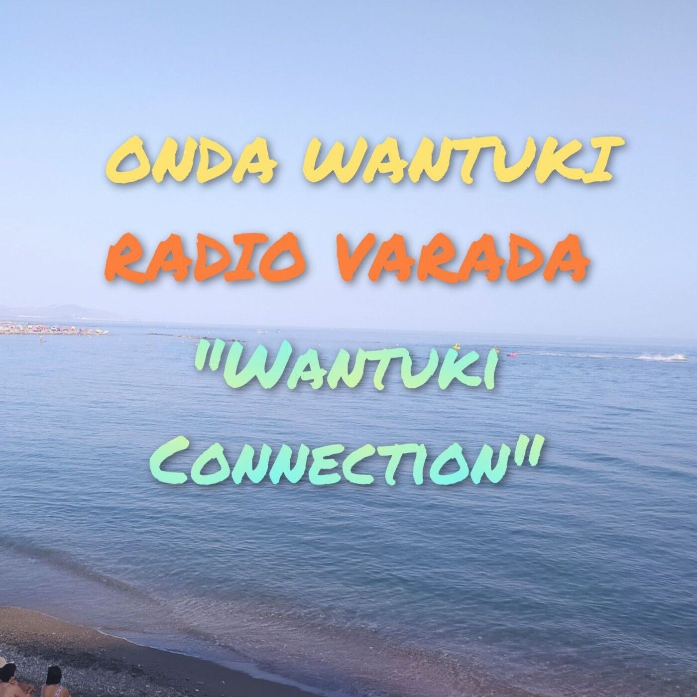 Portada de Radio varada