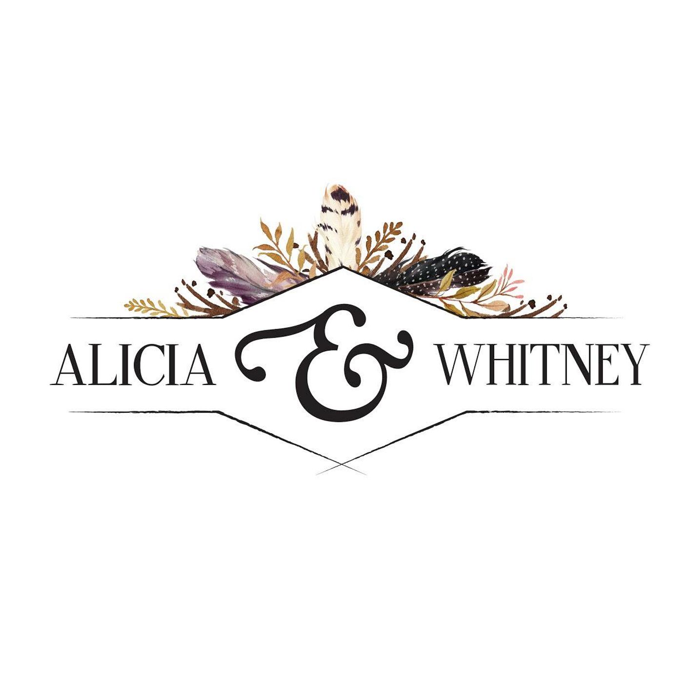 2019 Artist Spotlights
