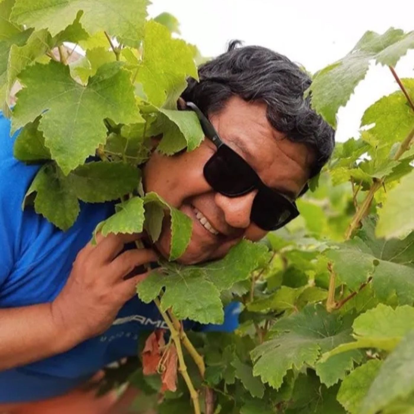 Vino al Natural