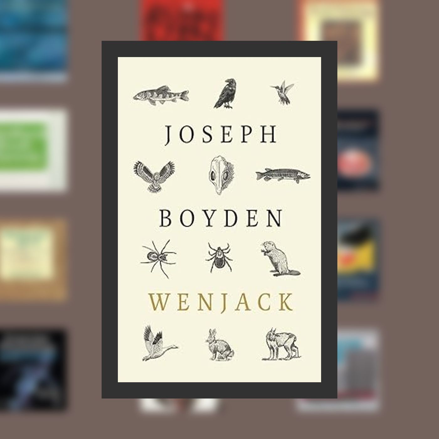 book to read now