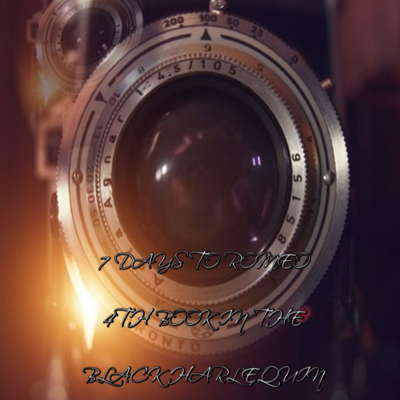 Black Harlequin The Romance Revealed