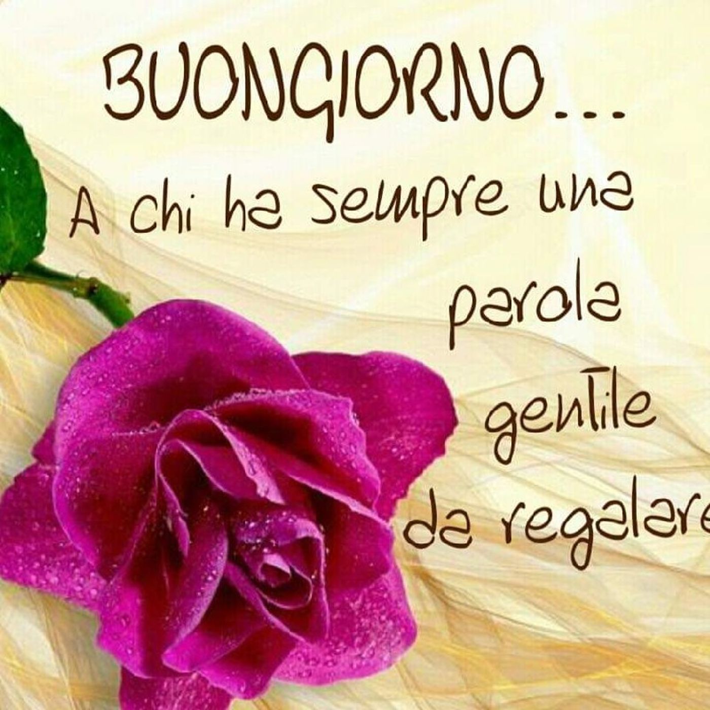 Lo show di Roberta Canu