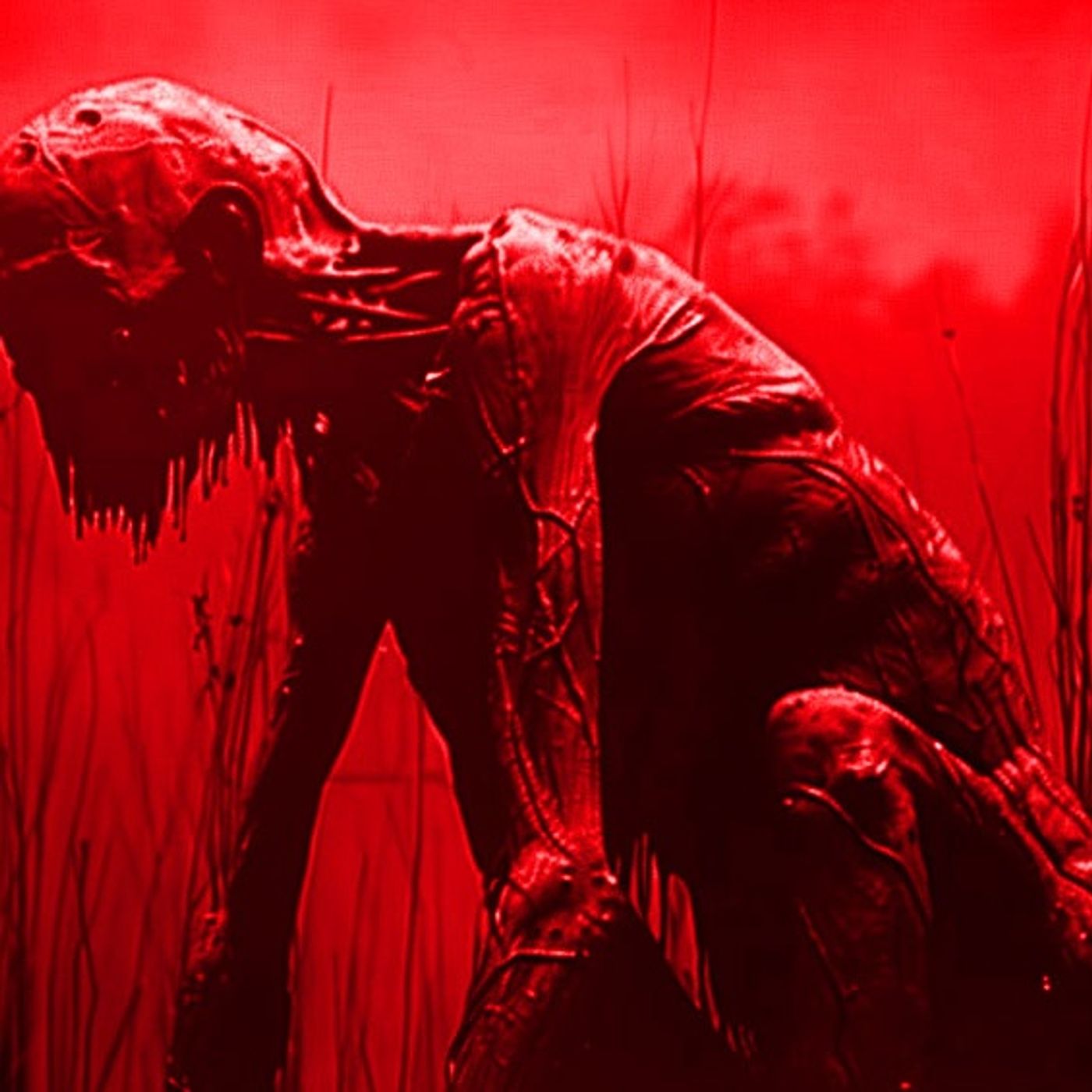 EL LOBISÓN, Avistamientos De Criaturas Extrañas Historias De Terror - REDE