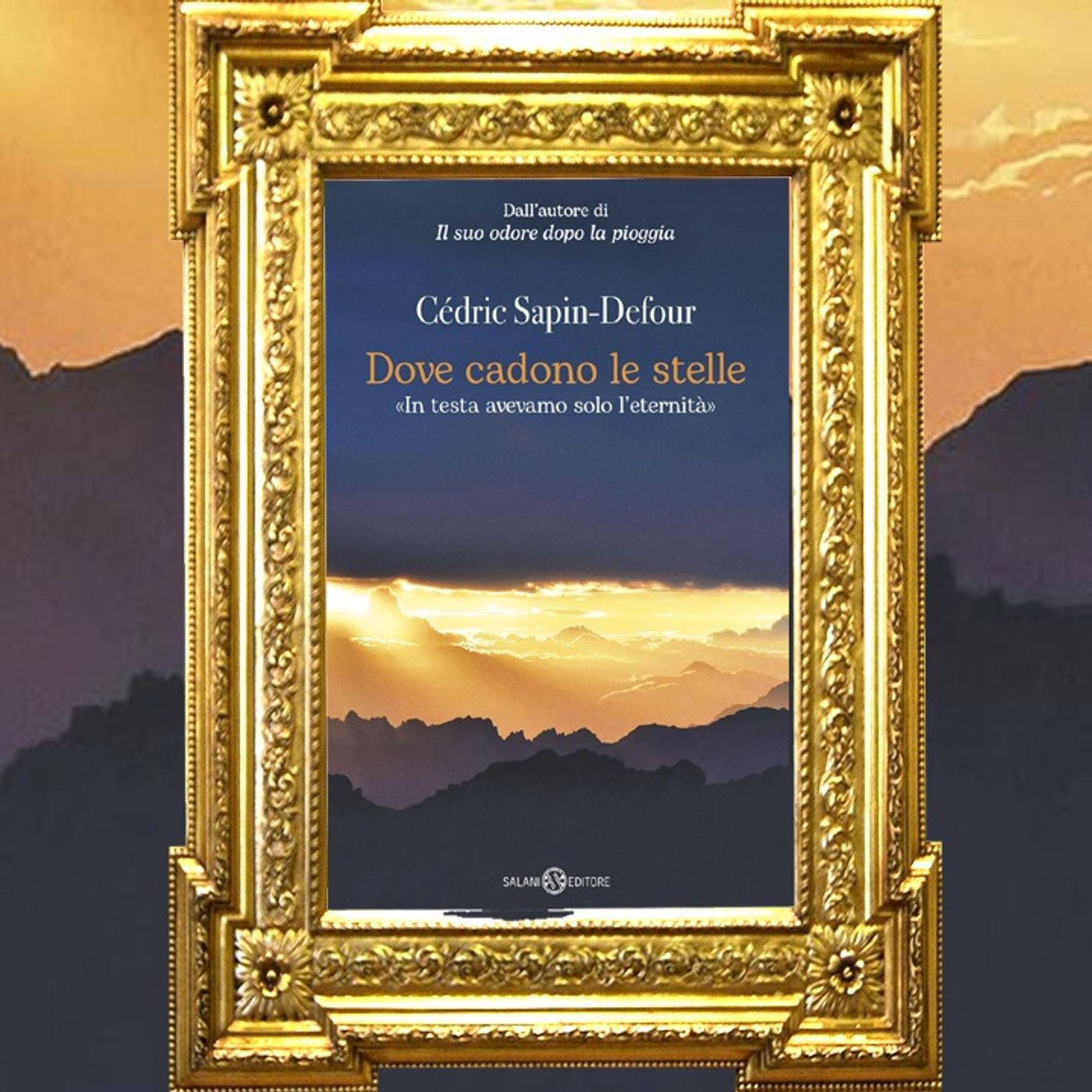 Cedric Sapin-Defour: " Dove cadono le stelle"