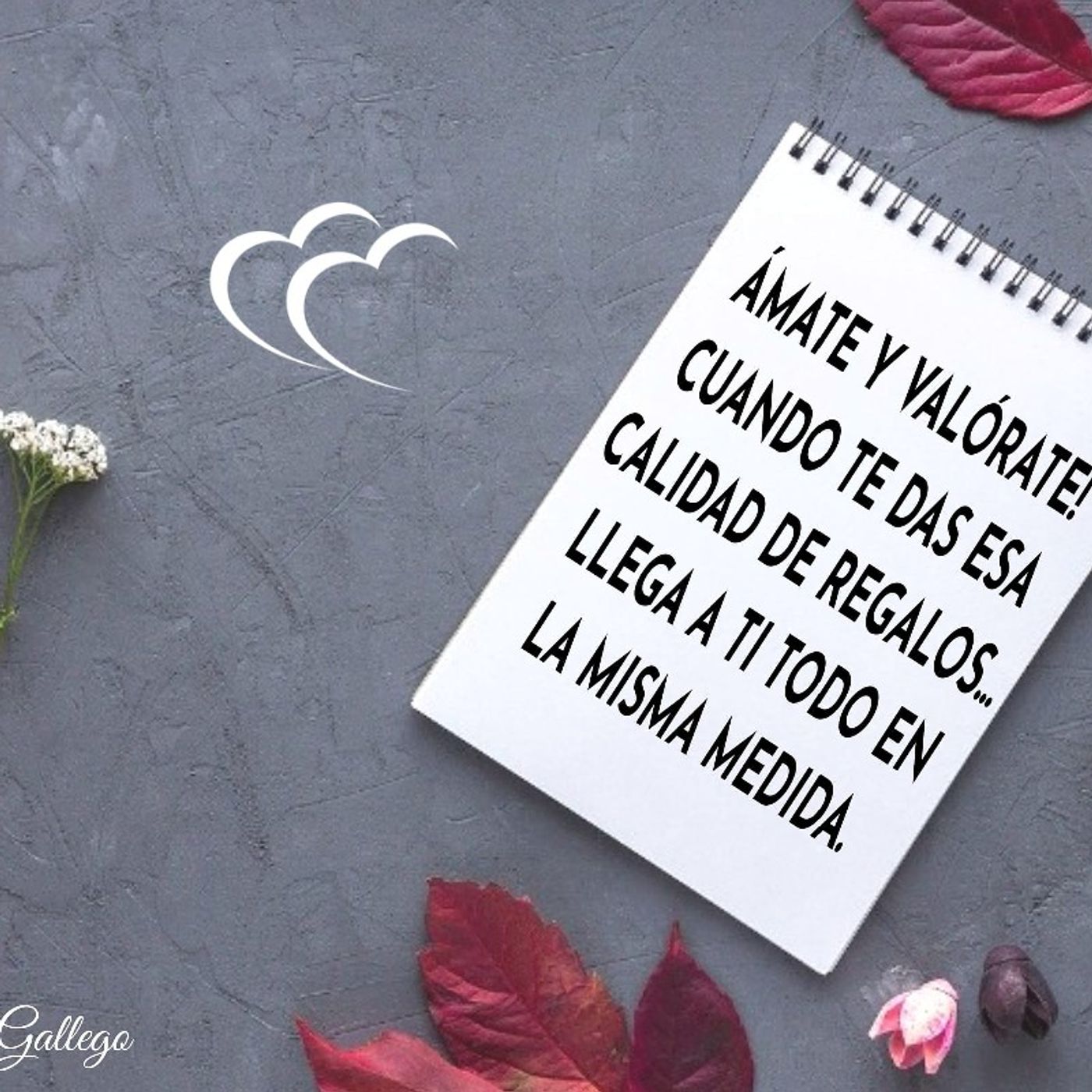 Portada de La Motivería en Dios