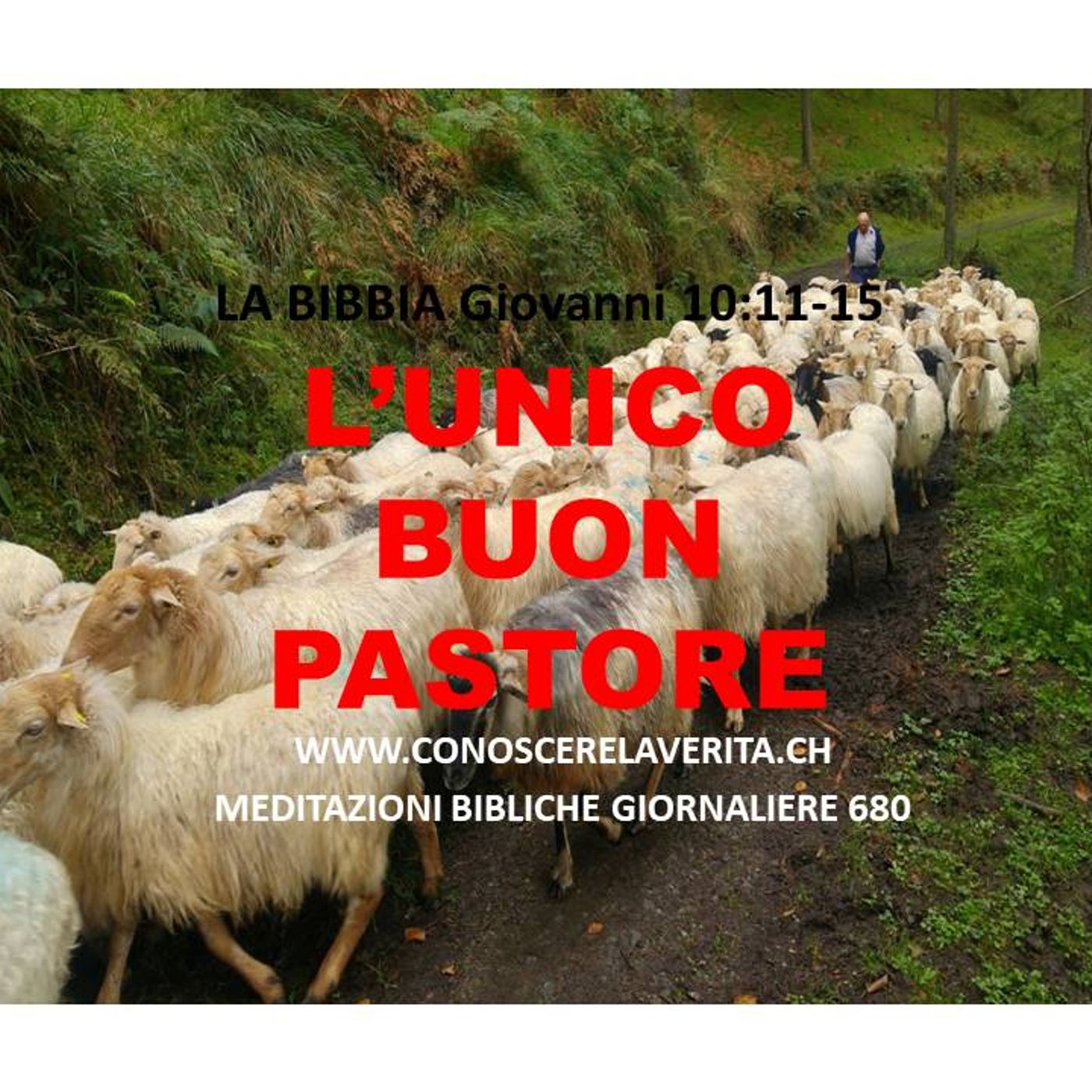 MEDITAZIONI BIBLICHE GIORNALIERE