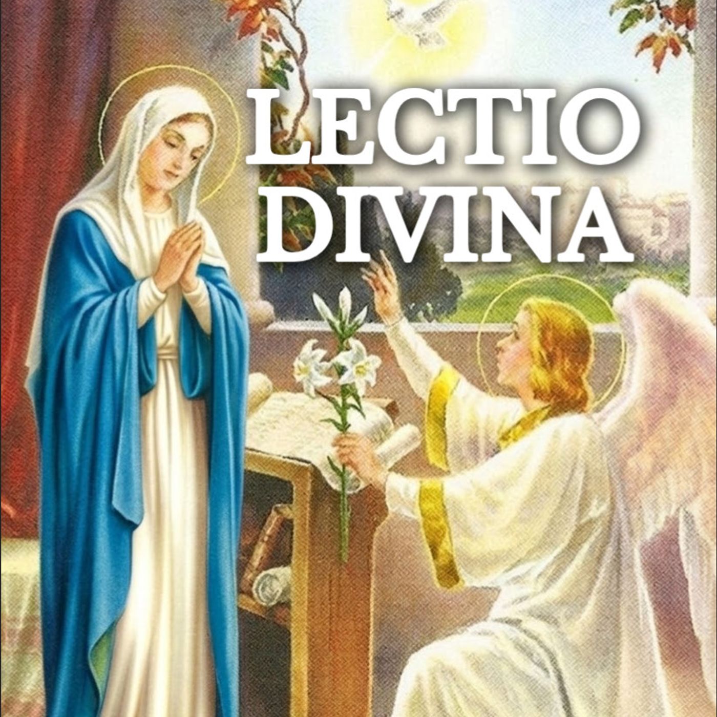 LECTIO DIVINA 📖 Memoria de María Reina, XX Sábado del Tiempo Ordinario, 22 de Agosto 2026 episode artwork