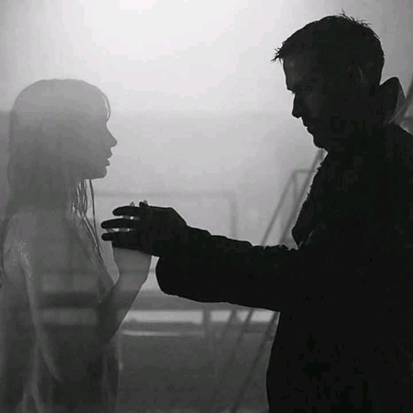 12 episode artwork