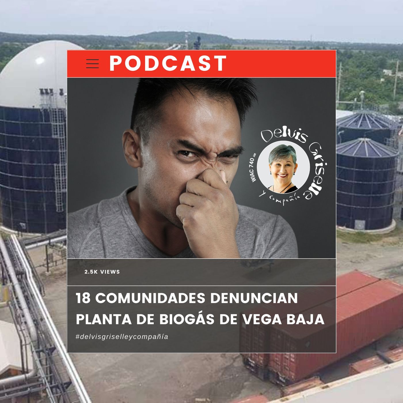 Delvis Griselle y Compañía