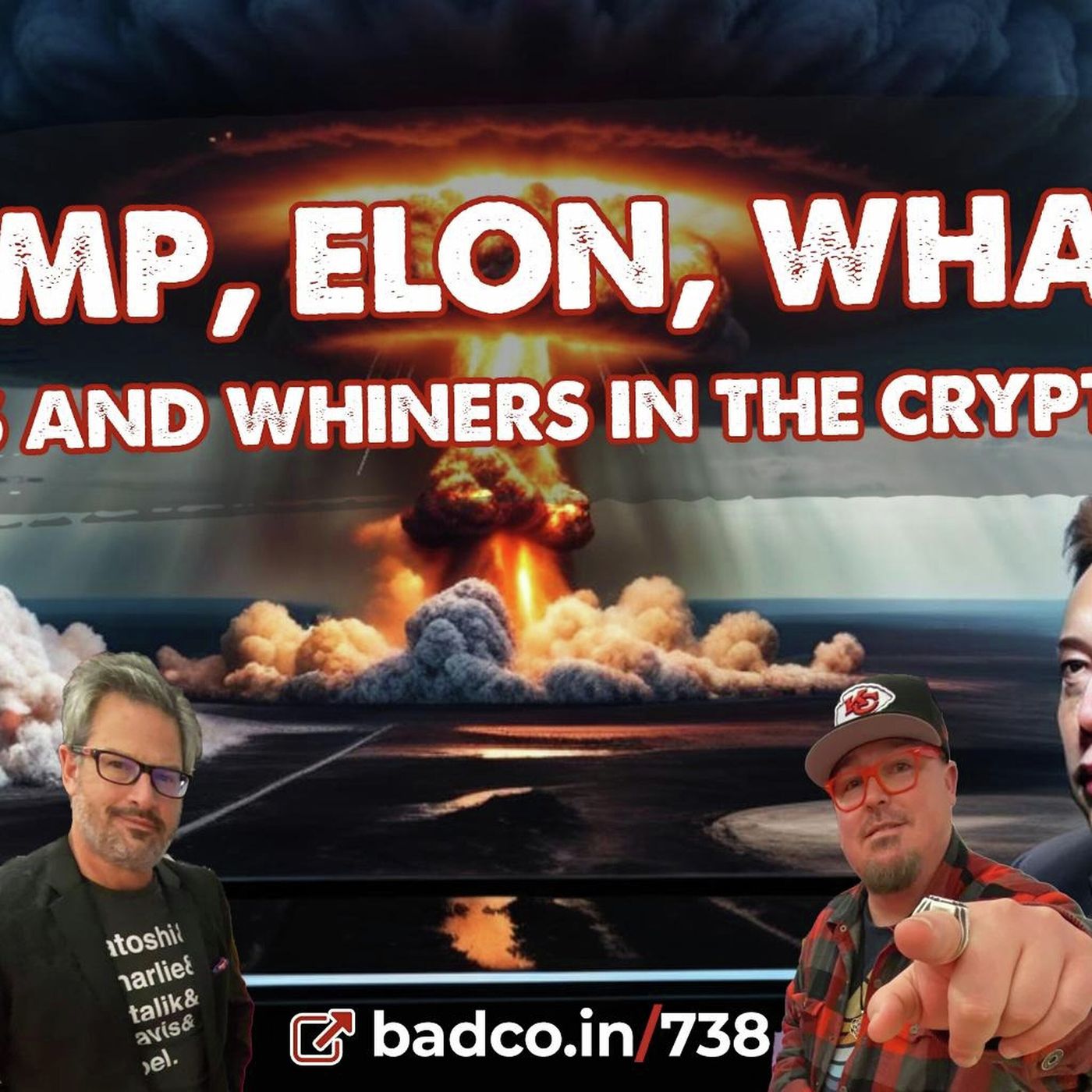 Ep 738: Trump, Elon, Whales: Winners and Whiners in the Crypto Chaos - podcast episode cover