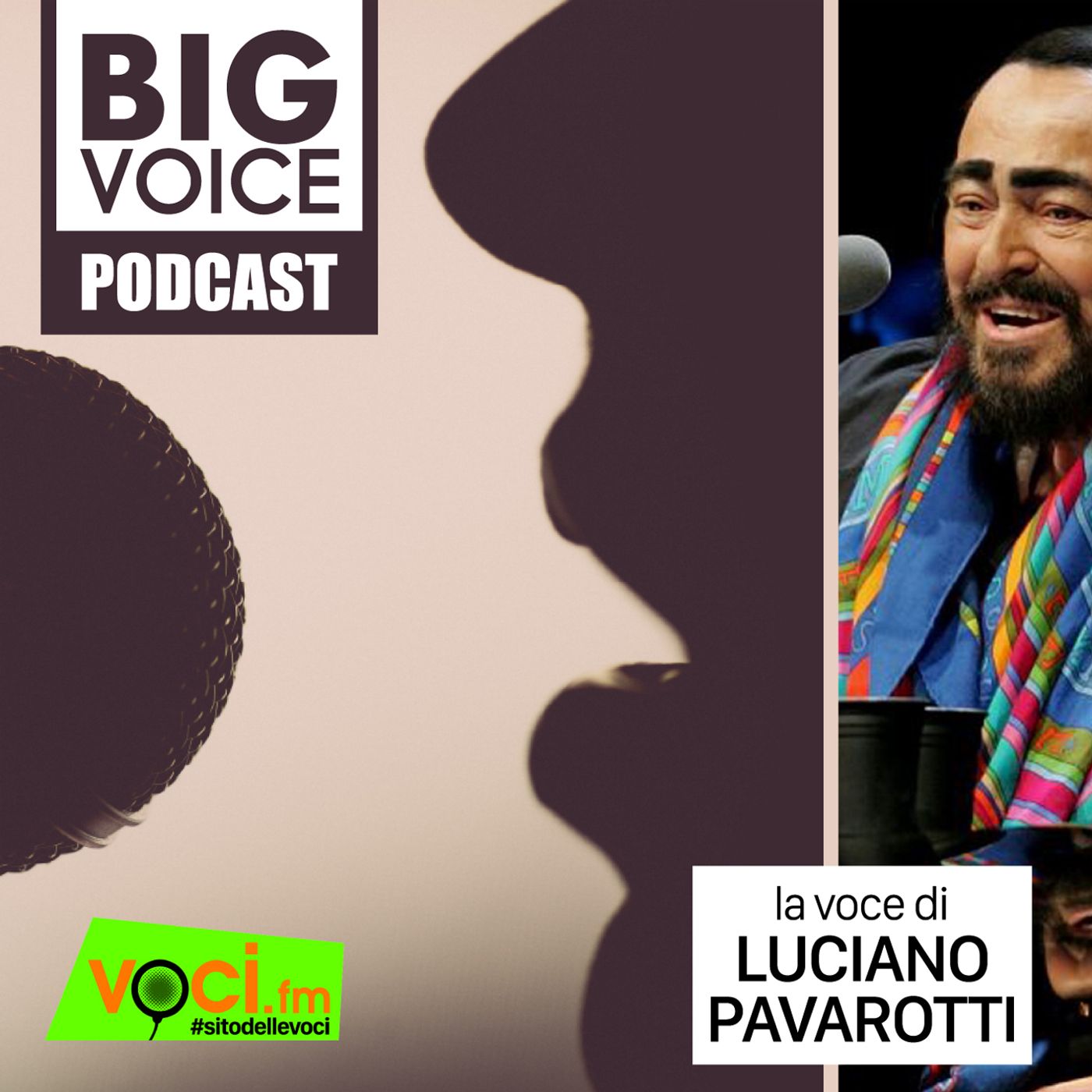 Voci.fm