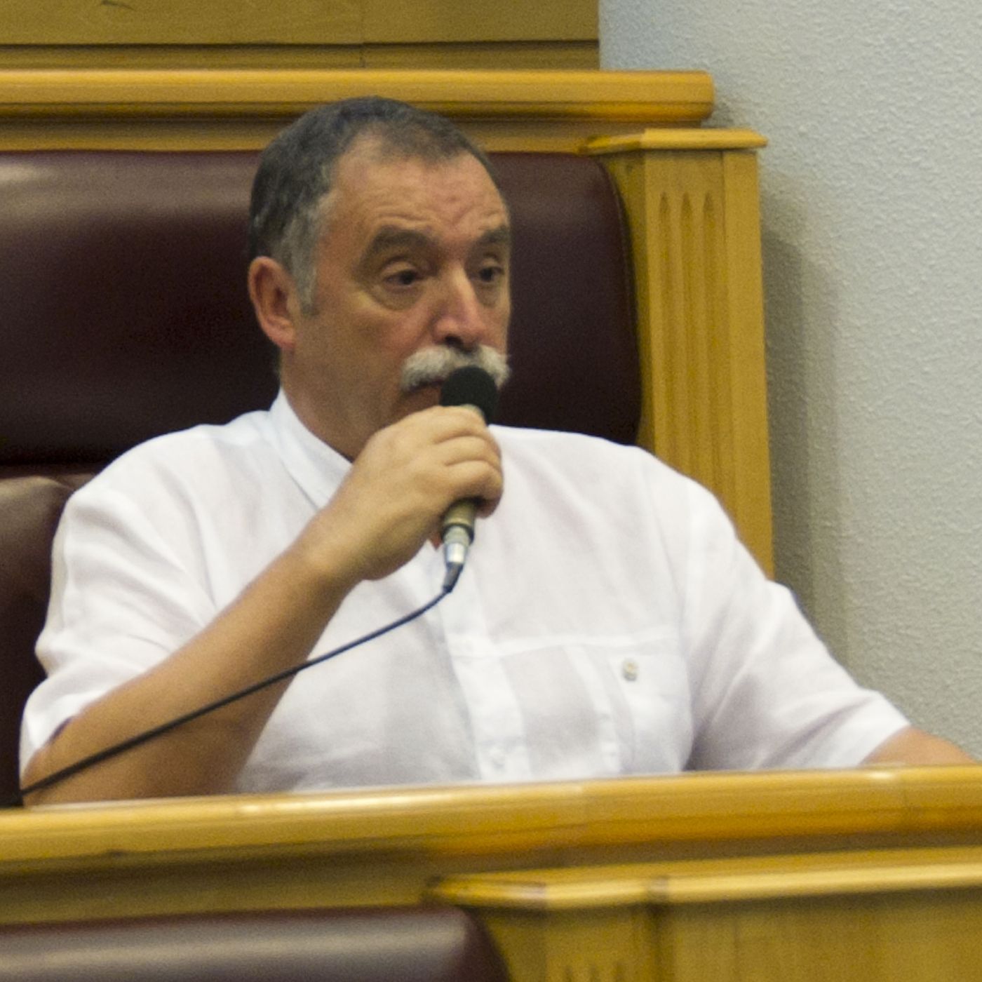 Intervencións radiofónicas