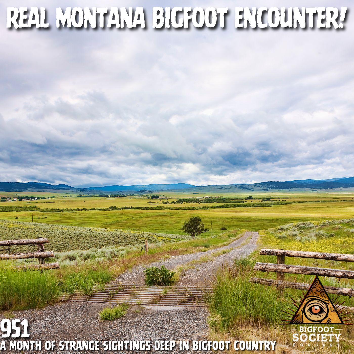 Real Montana Bigfoot Encounter: A Month of Strange Activity in the Wilderness
