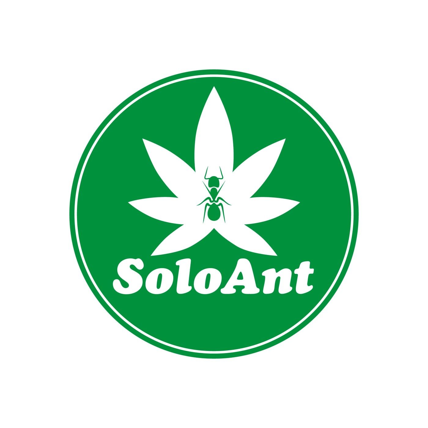 cover of episode High Times With SoloAnt Pt.II