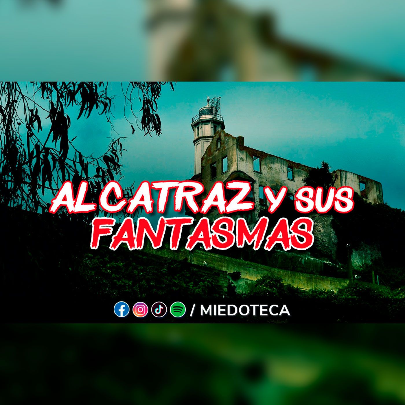 Miedoteca