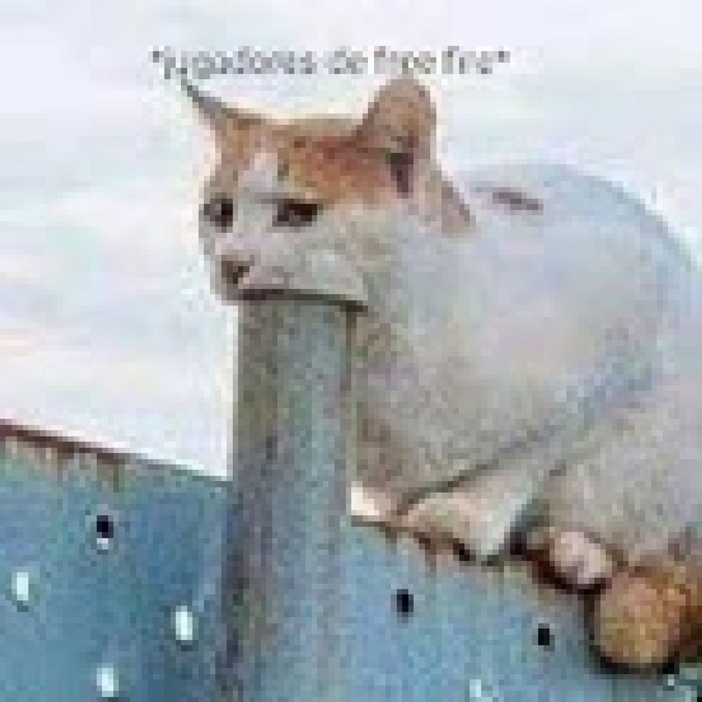 El podcast de la RISA con danitooo.