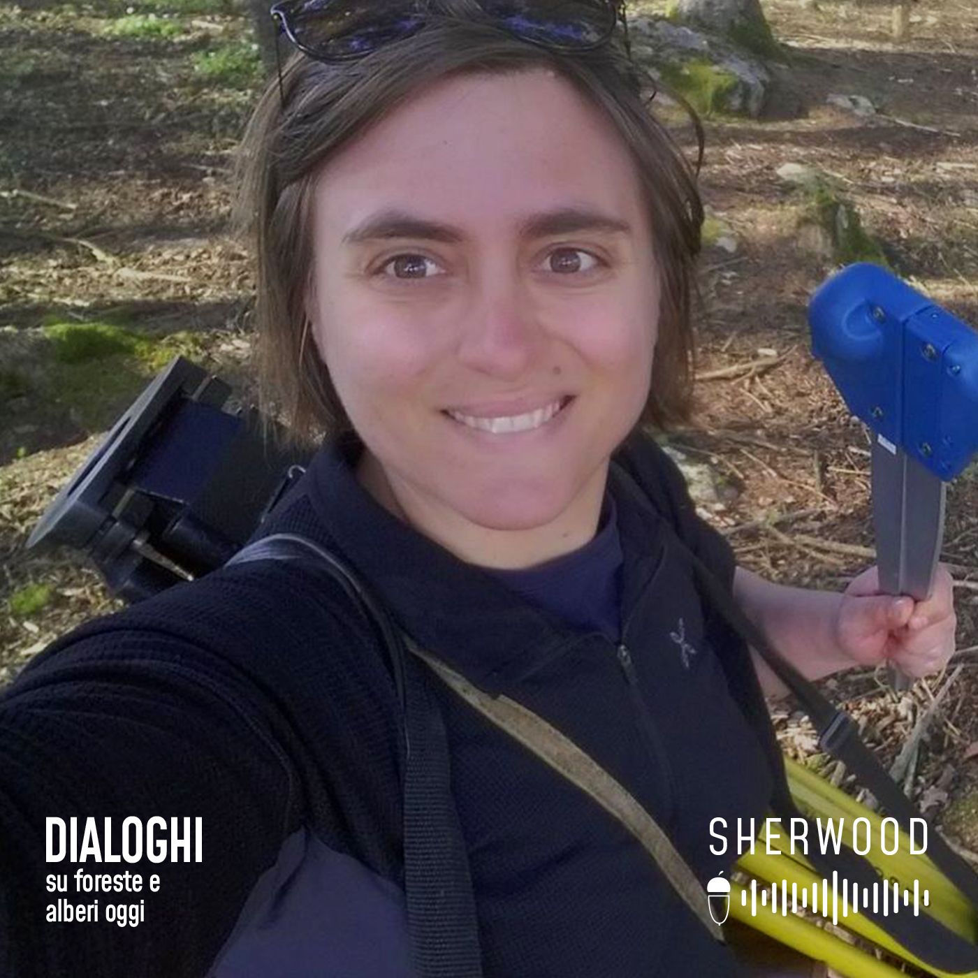 Dialoghi su foreste e alberi oggi
