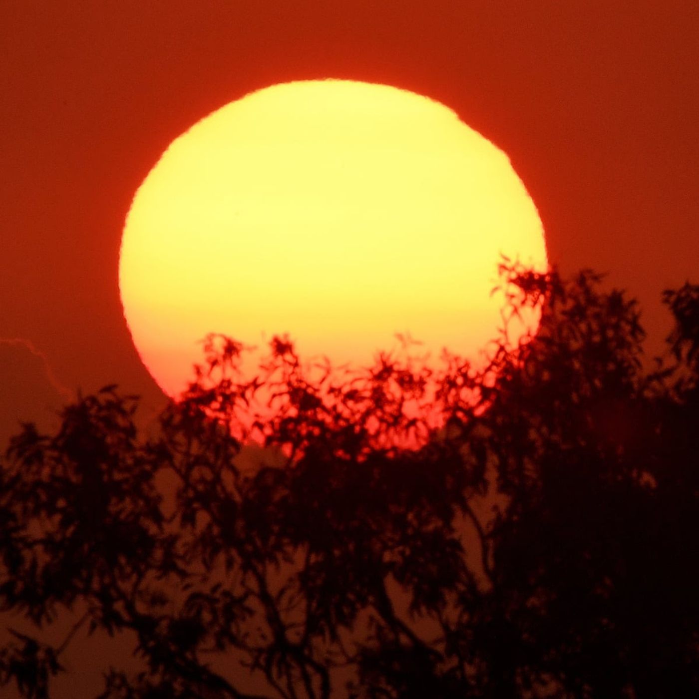 WARM SPELL: Brief 5 day outlook for United States from November 1st 2022 onwards