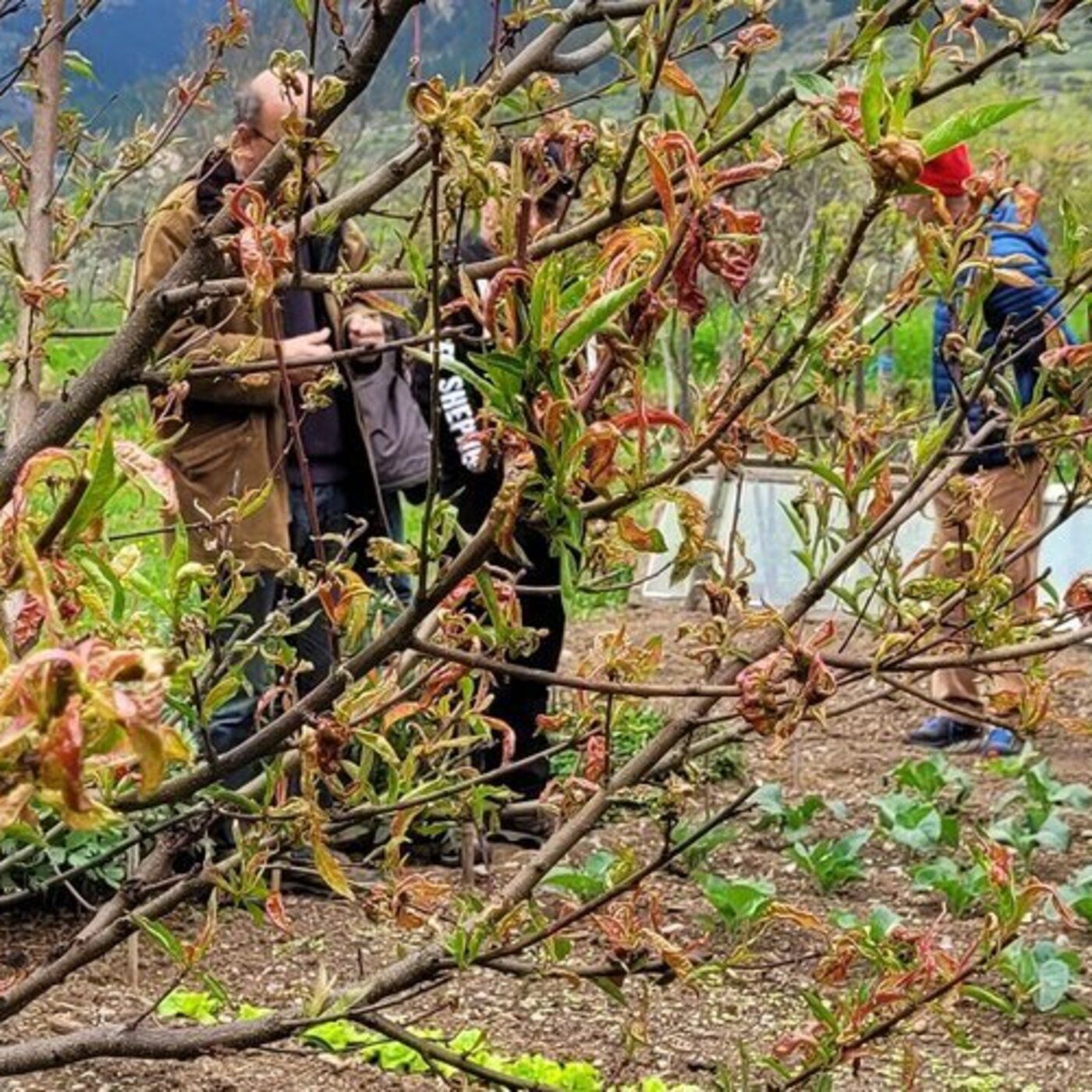 La méthode bio et la permaculture !  avec Jean-jacques, le jardinier d’Ispagnac