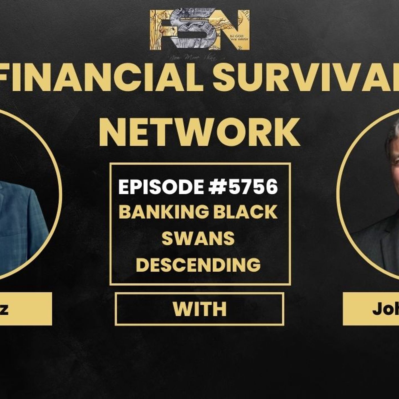 cover of episode Banking Black Swans Descending - John Rubino #5756