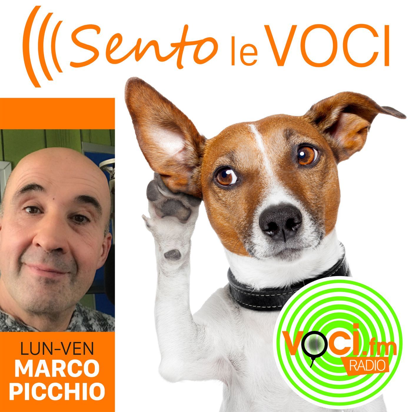 Voci.fm