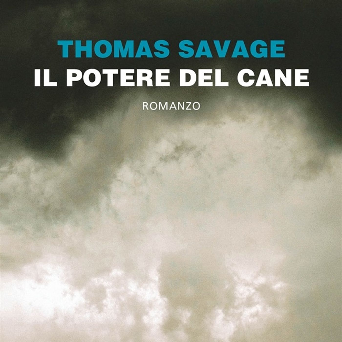 Stagione 2: La gioia maligna  - Il potere del cane episode artwork