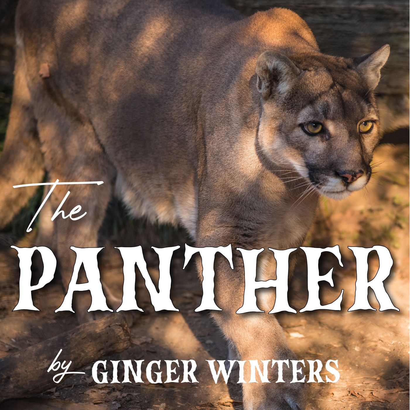 The Panther episode artwork