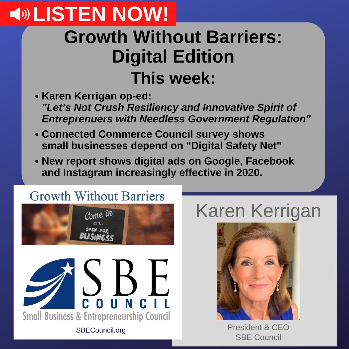 Growth Without Barriers - DIGITAL EDITION: How digital platforms & big tech have provided "safety net" for small business. episode artwork