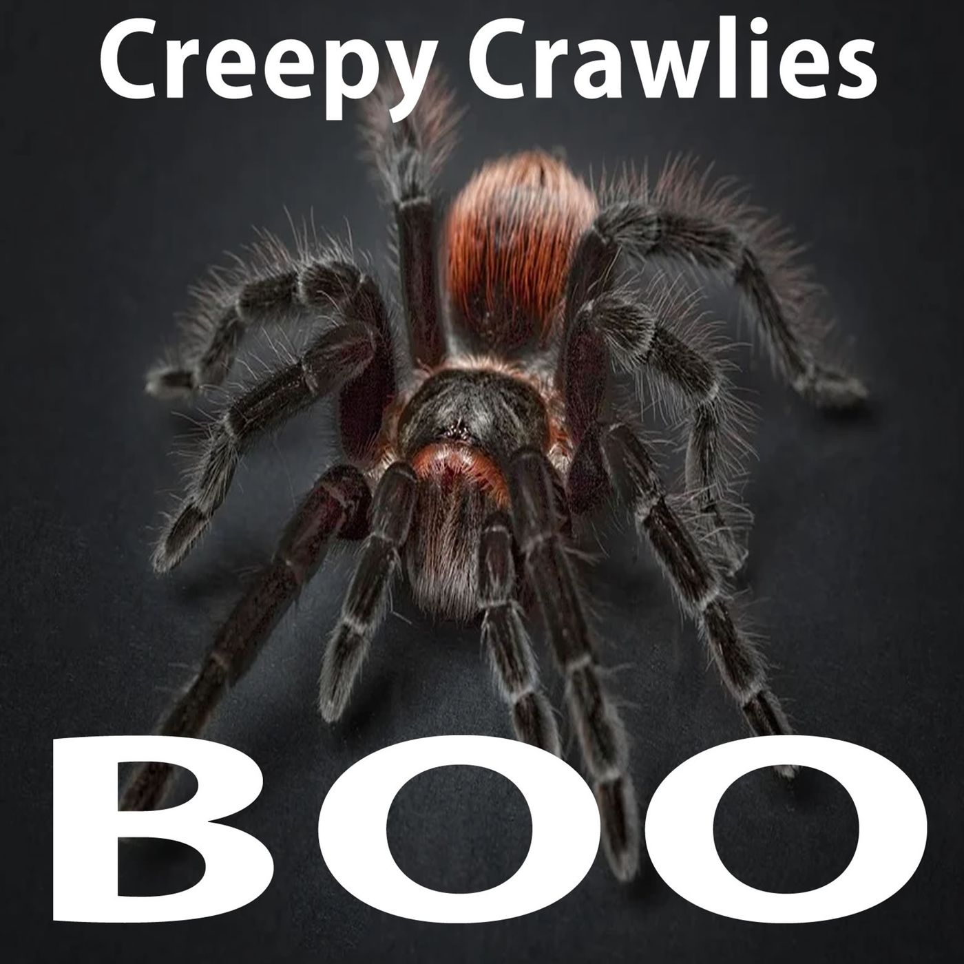 Scary Story Time Volume I