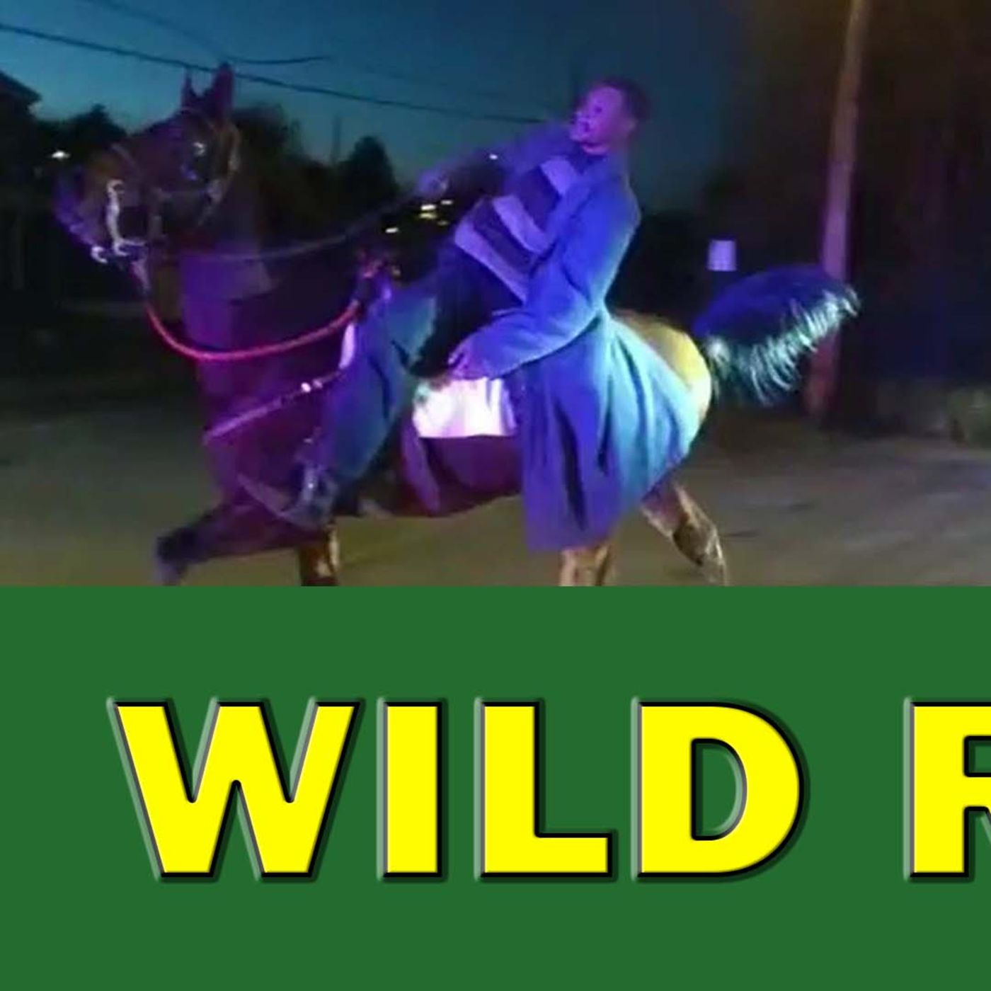 Horseman Takes Cops On A Wild Pursuit On Video! LEO Round Table S08E166 episode artwork