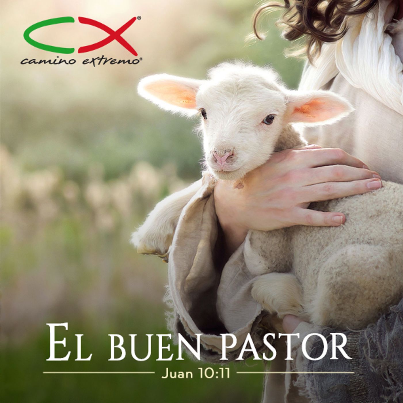 Oración 25 de agosto (El buen pastor) episode artwork