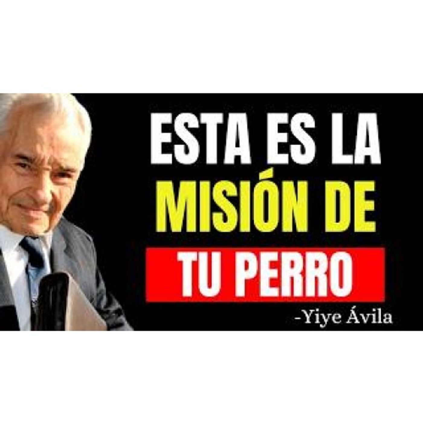 SI AMAS A LOS ANIMALES, ESTO ES LO QUE LA BIBLIA QUIERE QUE SEPAS - Predicas Cristianas