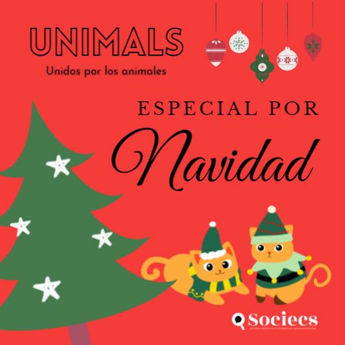 Unimals - Especial de navidad 02: Como afectan las luces navideñas a la biodiversidad episode artwork