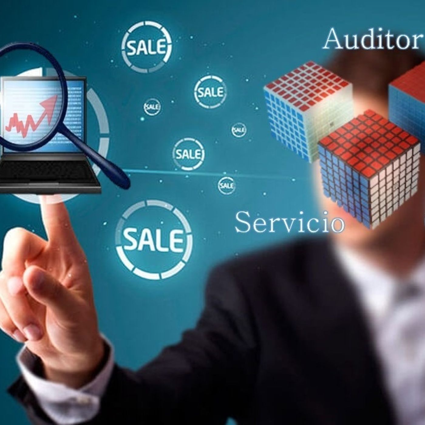 “Auditoria, seguimiento y evaluación”