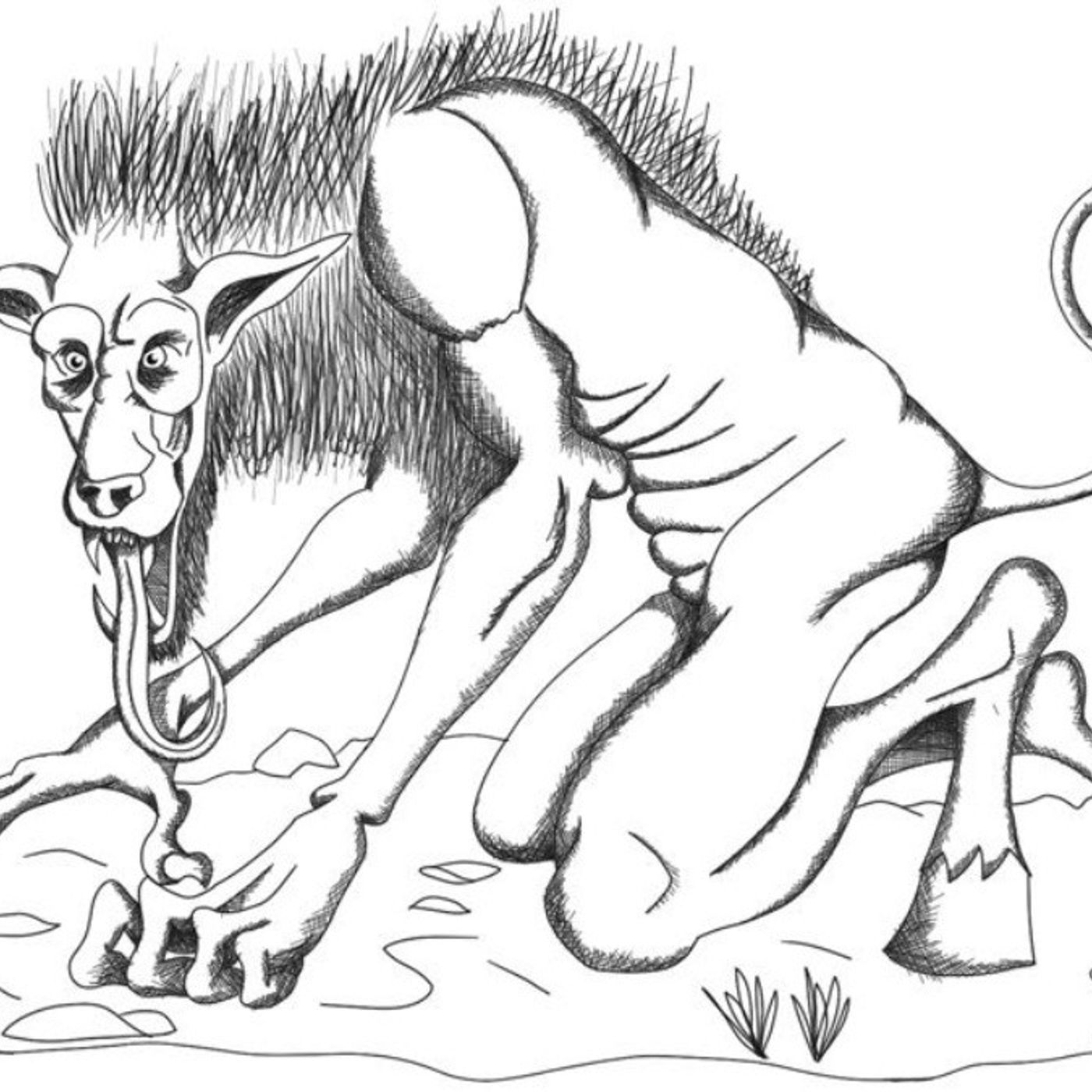 Historias de Miedo Noviembre 15 de 2021 MÁS HISTORIAS DE PERROS Y NAHUALES