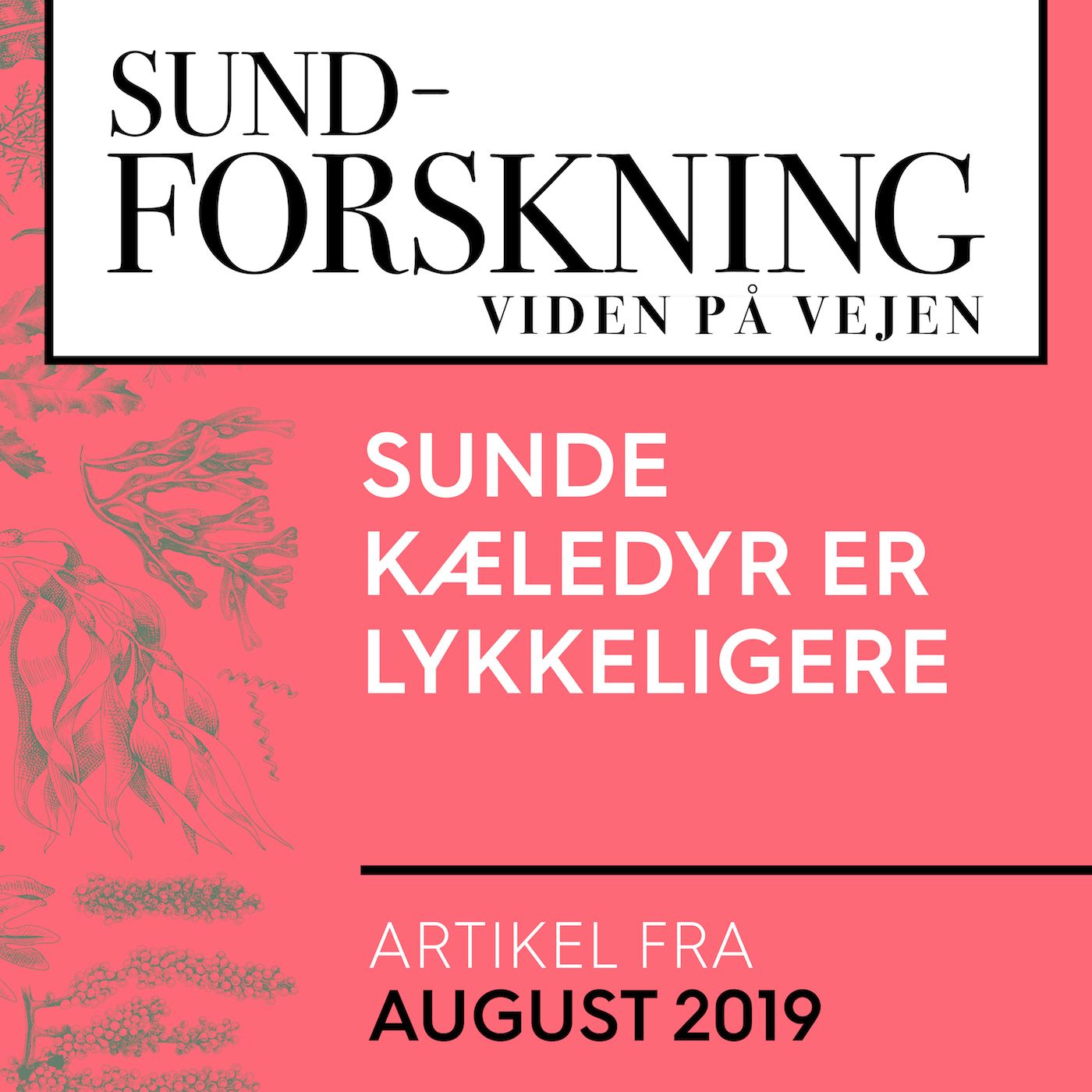 SUND-FORSKNING