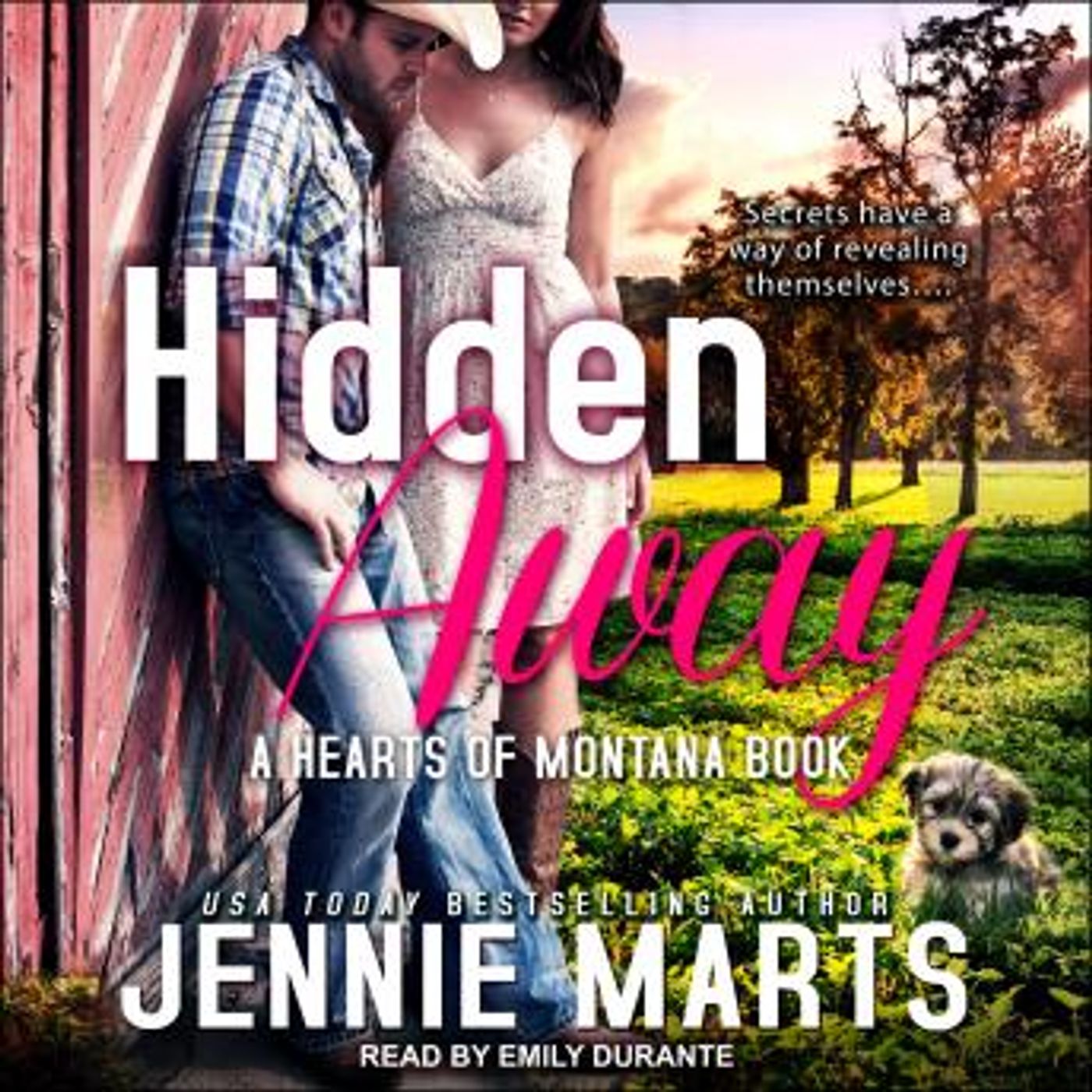 Hidden Away by Jennie Marts episode artwork