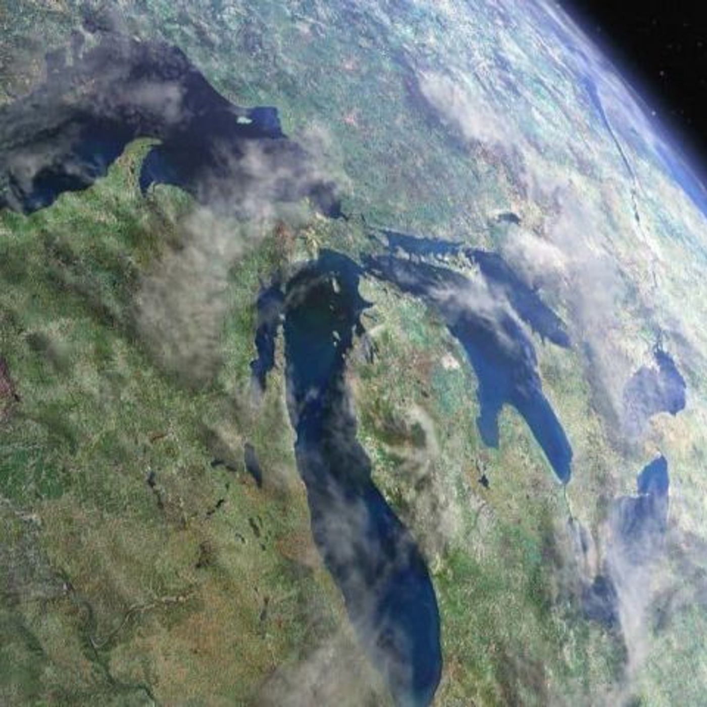 10RATS.COM  Michigan Maddog\'s  Meandering thoughts