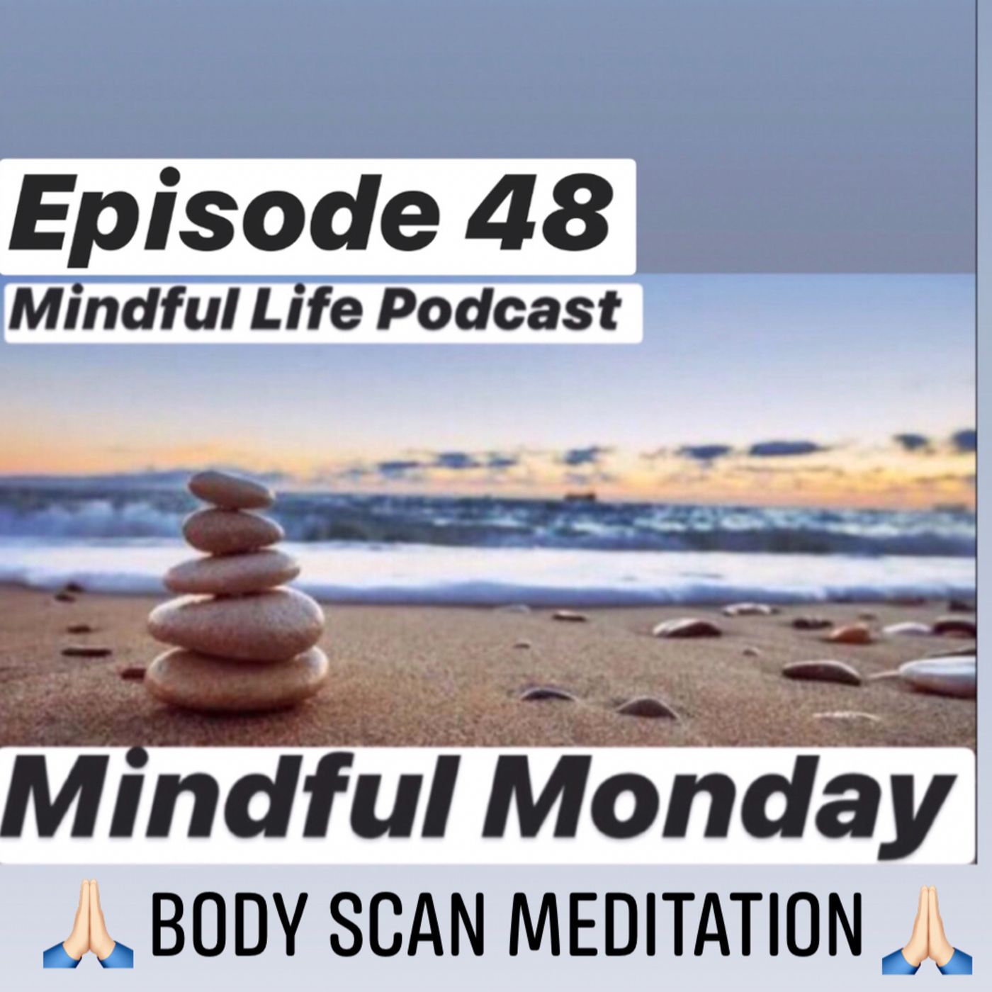 Mindful Life Podcast