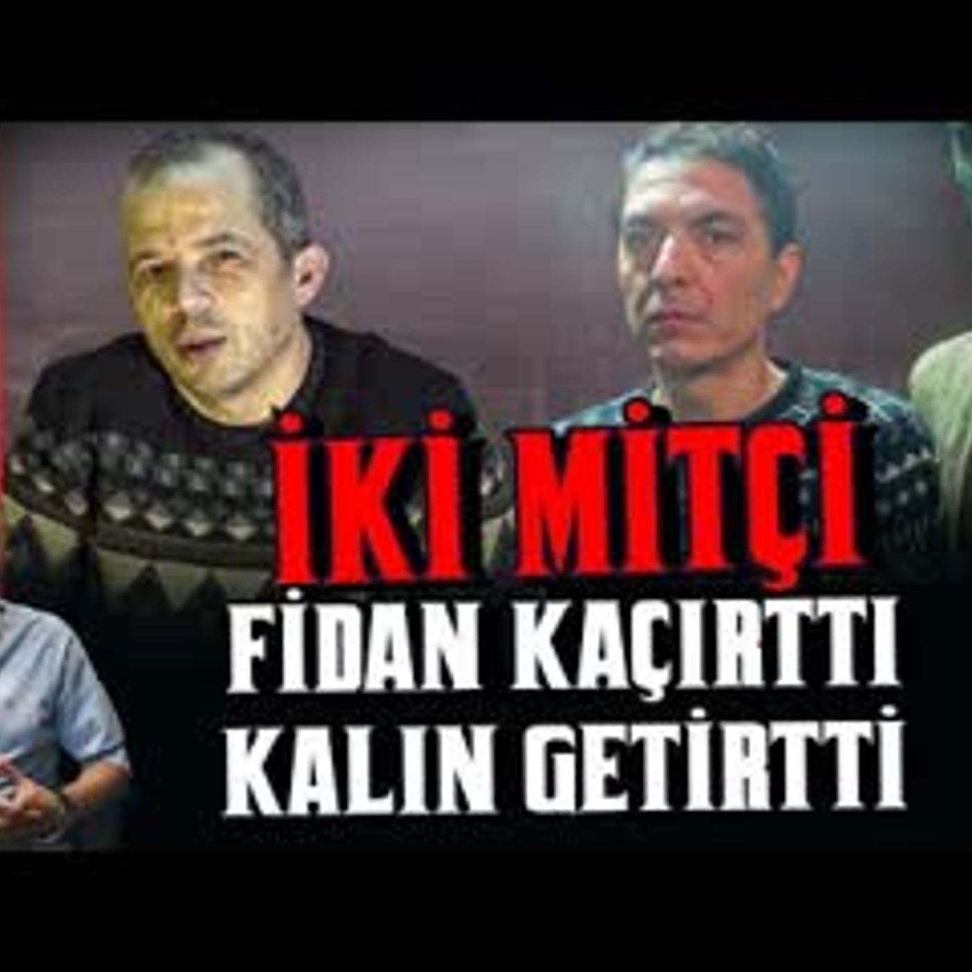 İKİ MİTÇİ FİDAN KAÇIRTTI KALIN GETİRTTİ