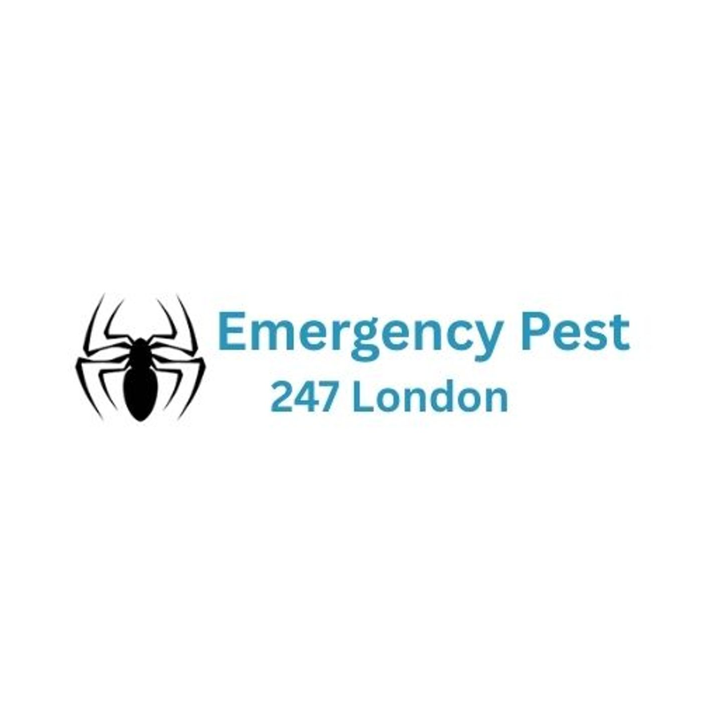 Pest Control 24 London