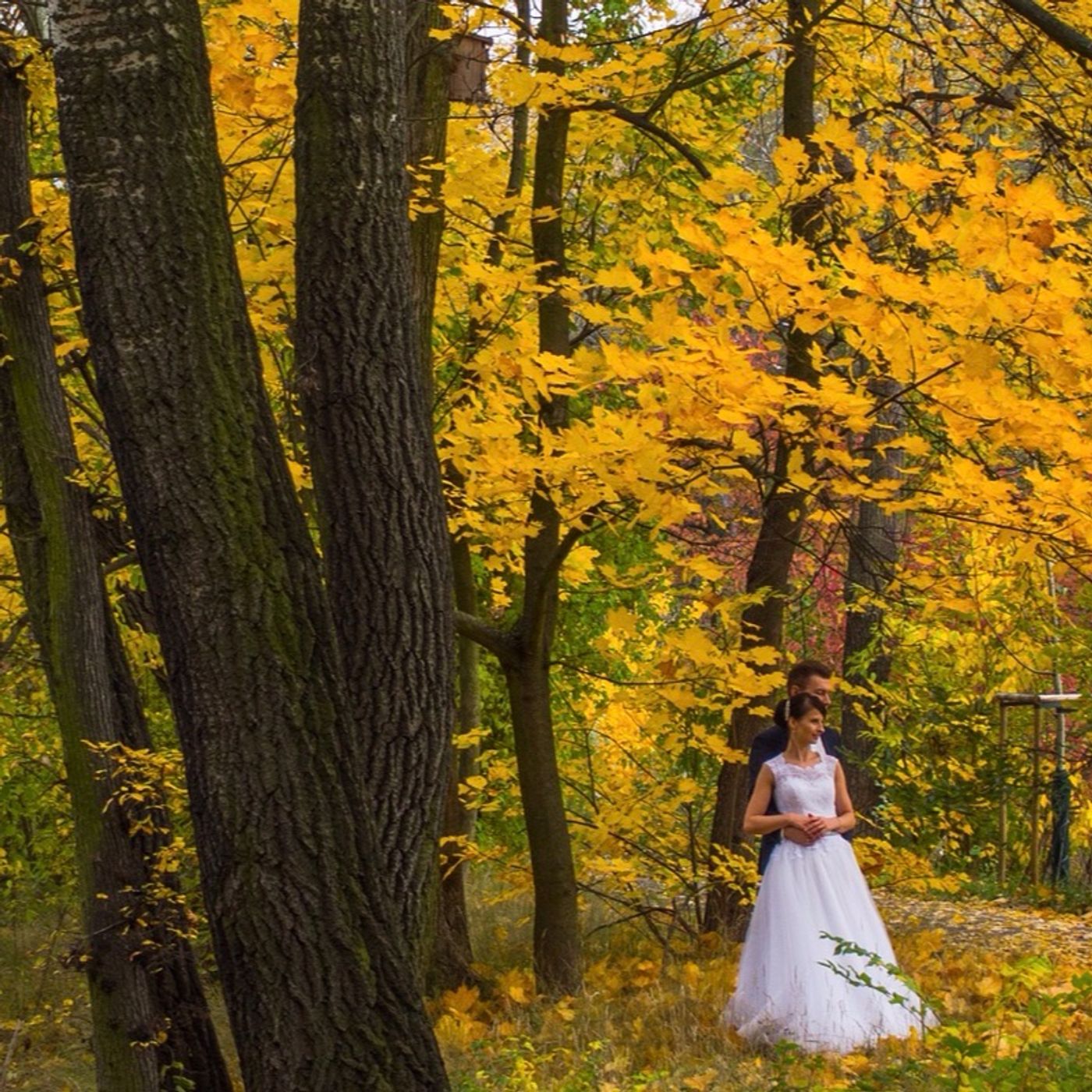 Wedding Planner Torino - Come nei Sogni®