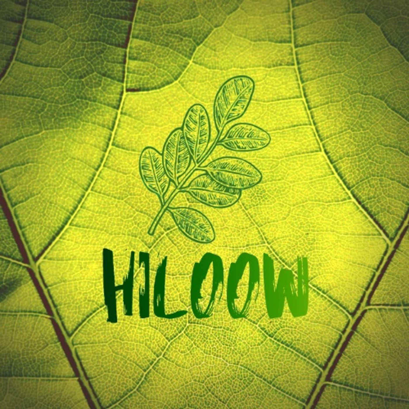 Hiloow
