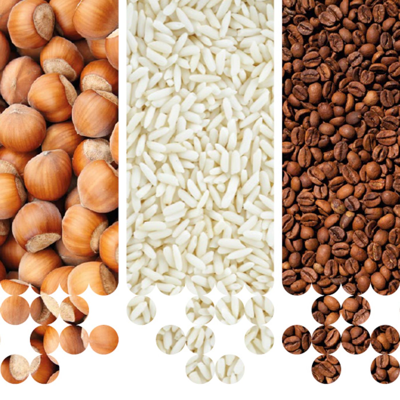 ANTARES VISION (LINGUA ITALIANA)