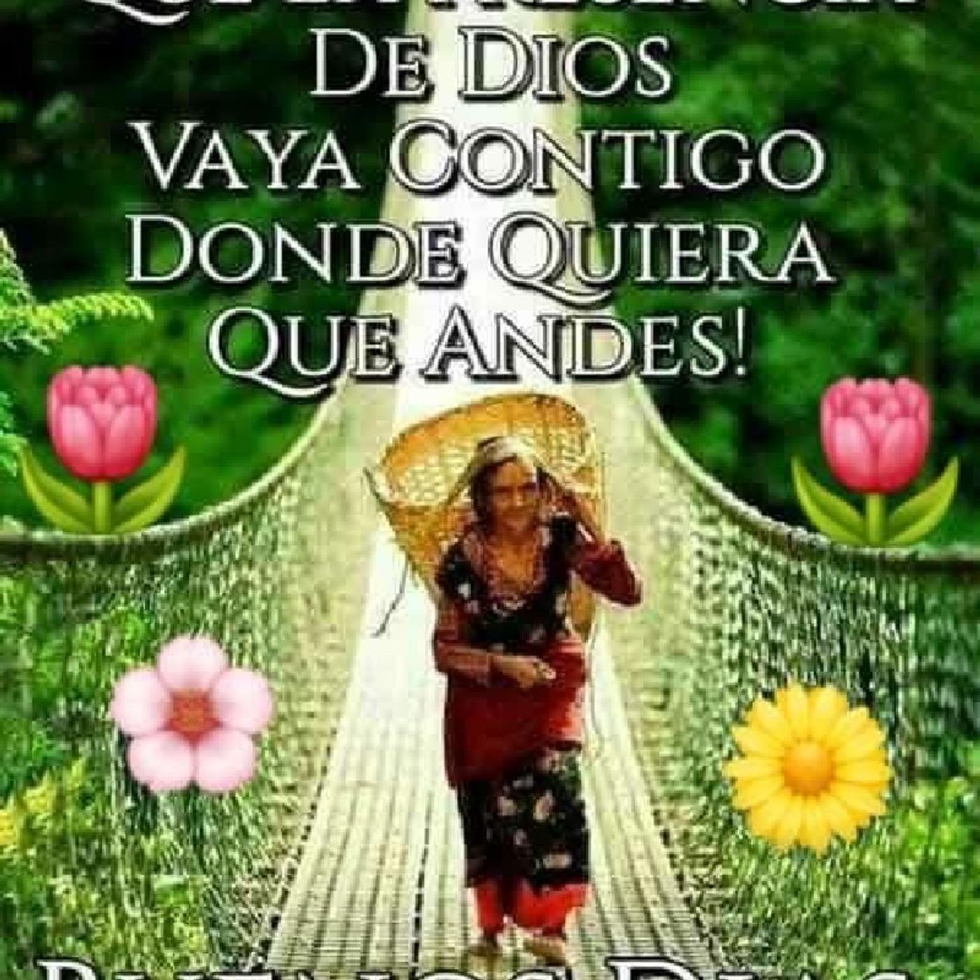 El Poder Del Evangelio de AProCristiano