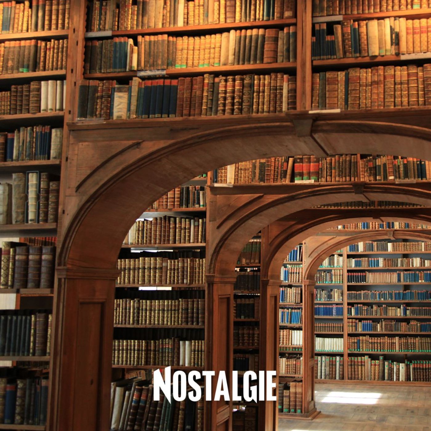 Méduse immortelle, chauve-souris dans les bibliothèques : comment la nature peut nous aider episode artwork