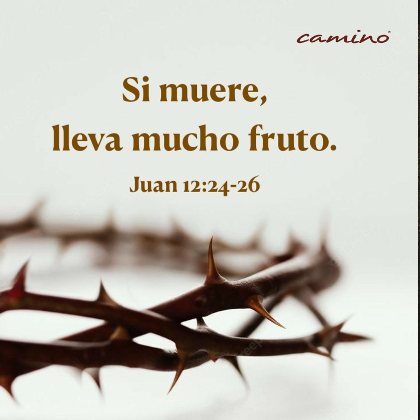 Oración 1 de abril (Si muere, lleva mucho fruto) episode artwork